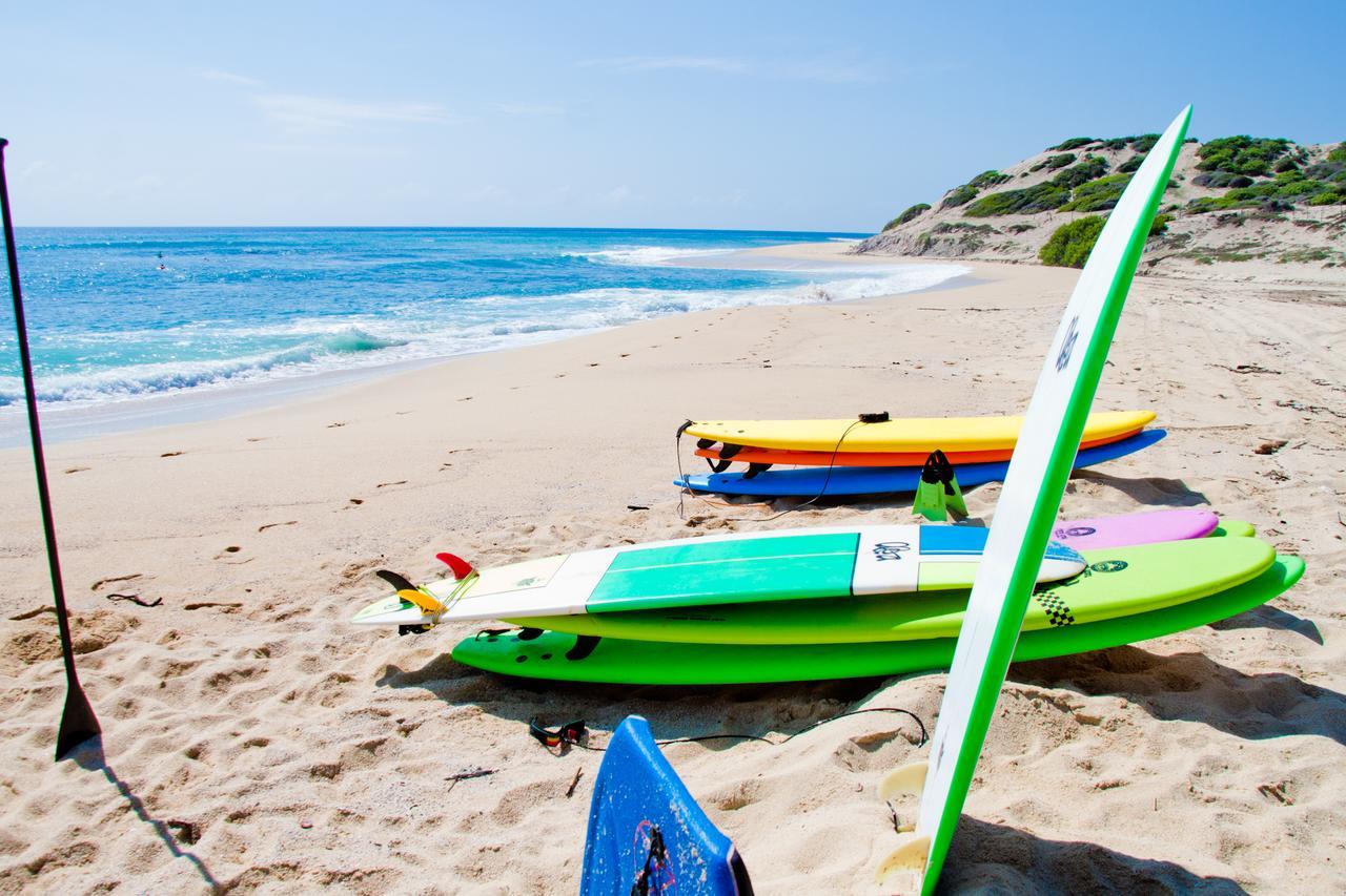 Surf Hostel Cabo "The Riptide" San José del Cabo Exteriér fotografie